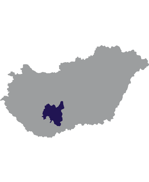 Landkaart Hongarije grijs met comitaat Tolna donkerblauw op transparante achtergrond - 600 * 733 pixels